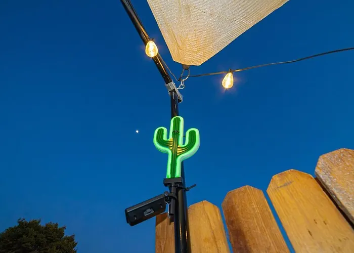 Cactus * Yuma